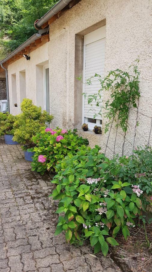 Gîte la Providence Saint-Sernin-du-Plain Exterior foto